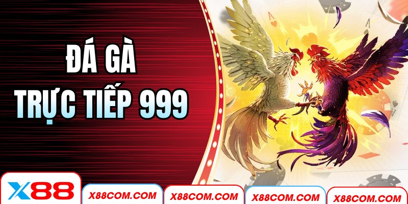 Đá Gà Trực Tiếp 999 X88 – Xem Live Mượt Mà, Nhanh Chóng
